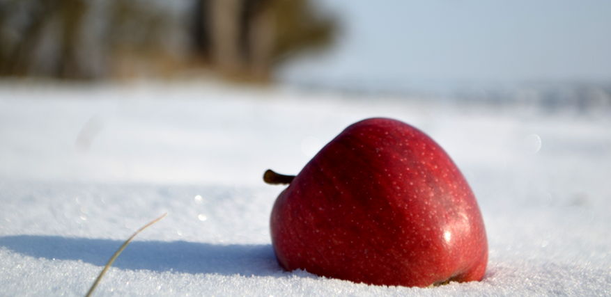 appel in sneeuw