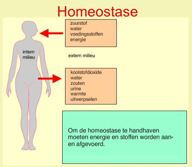 homeostase kaart